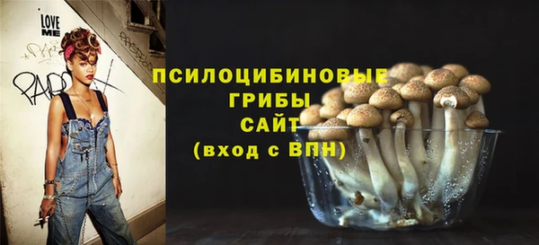 эйфоретик Алзамай