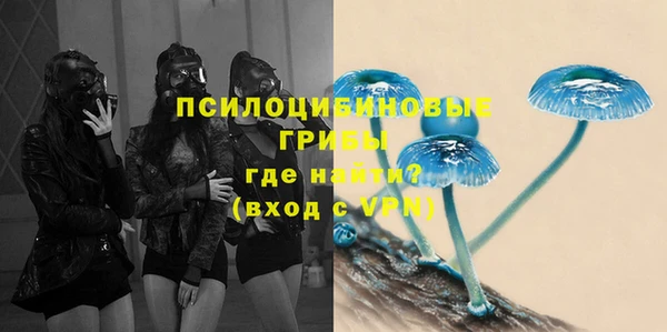 спайс Алексин