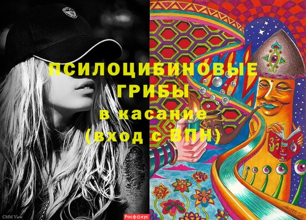 спиды Алексеевка