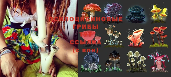 спиды Алексеевка