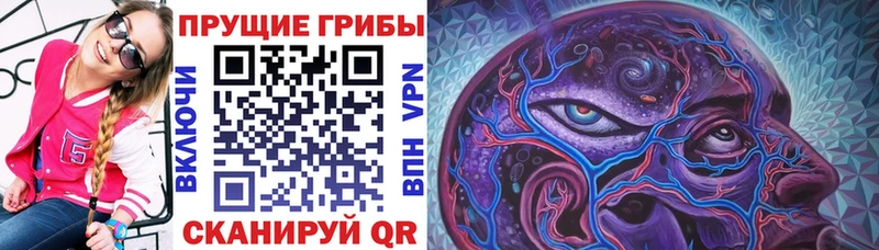 blacksprut   закладка  Протвино  Псилоцибиновые грибы мухоморы 